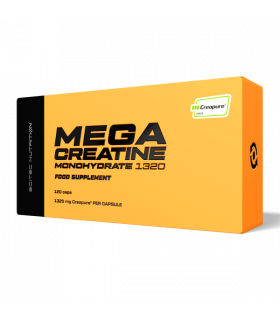 MEGA CREATINE MONHYDRATE 120 caps.