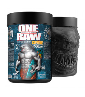 ONE RAW CREATINE 300 gr.
